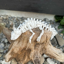 Esqueleto Dragão Articulado 23CM Impressão 3D flexível Decoração Geek Colecionável Gamer Aquário